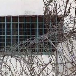 Брасовские заключённые объявили голодовку - Брянск - Yansk.ru Брасовские заключённые объявили голодовку - Брянск - Yansk.ru